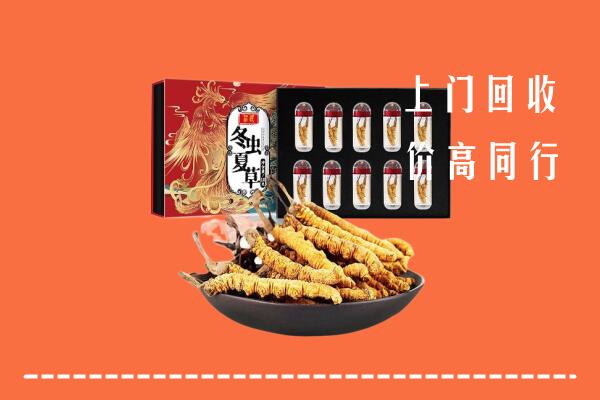 附近收购：厦门回收虫草
